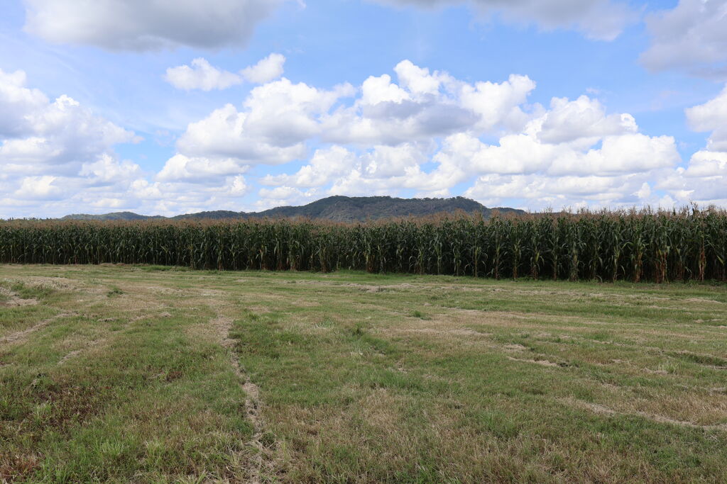 Image of Mkushi Farm Block
Mkushi