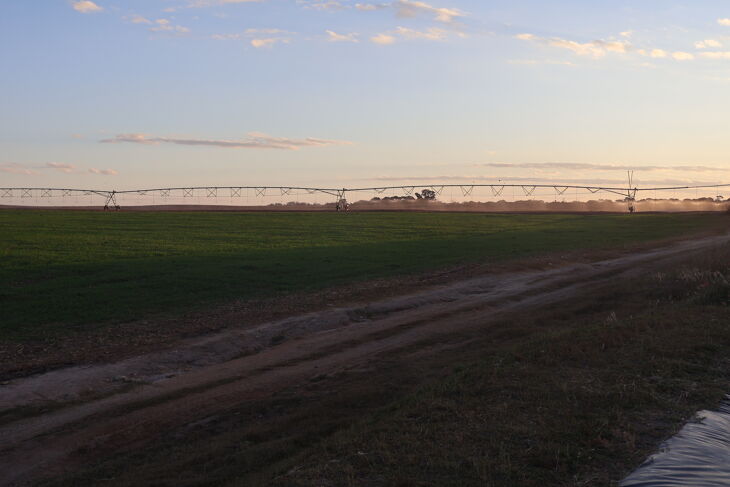 Picture of Mkushi Farms 6