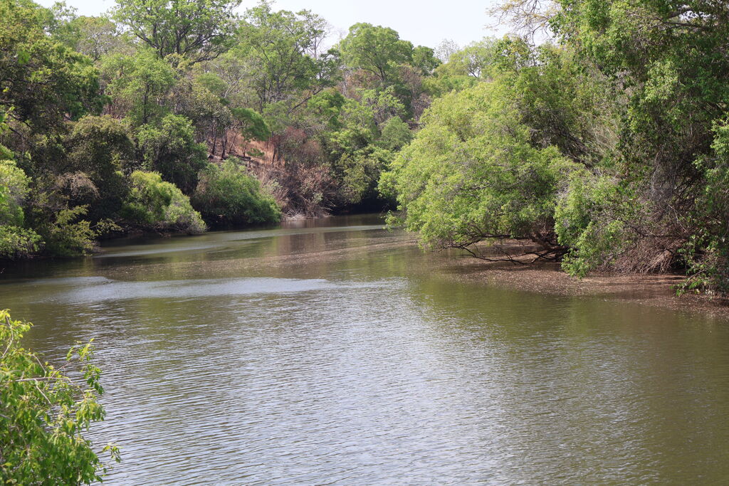 Image of Luano, Mkushi