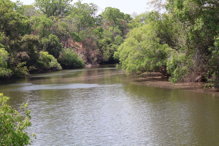 Picture of Luano, Mkushi