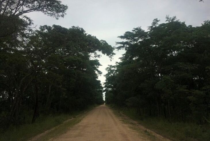 Picture of Kapiri Mposhi / Kabwe Farming area. Central Province