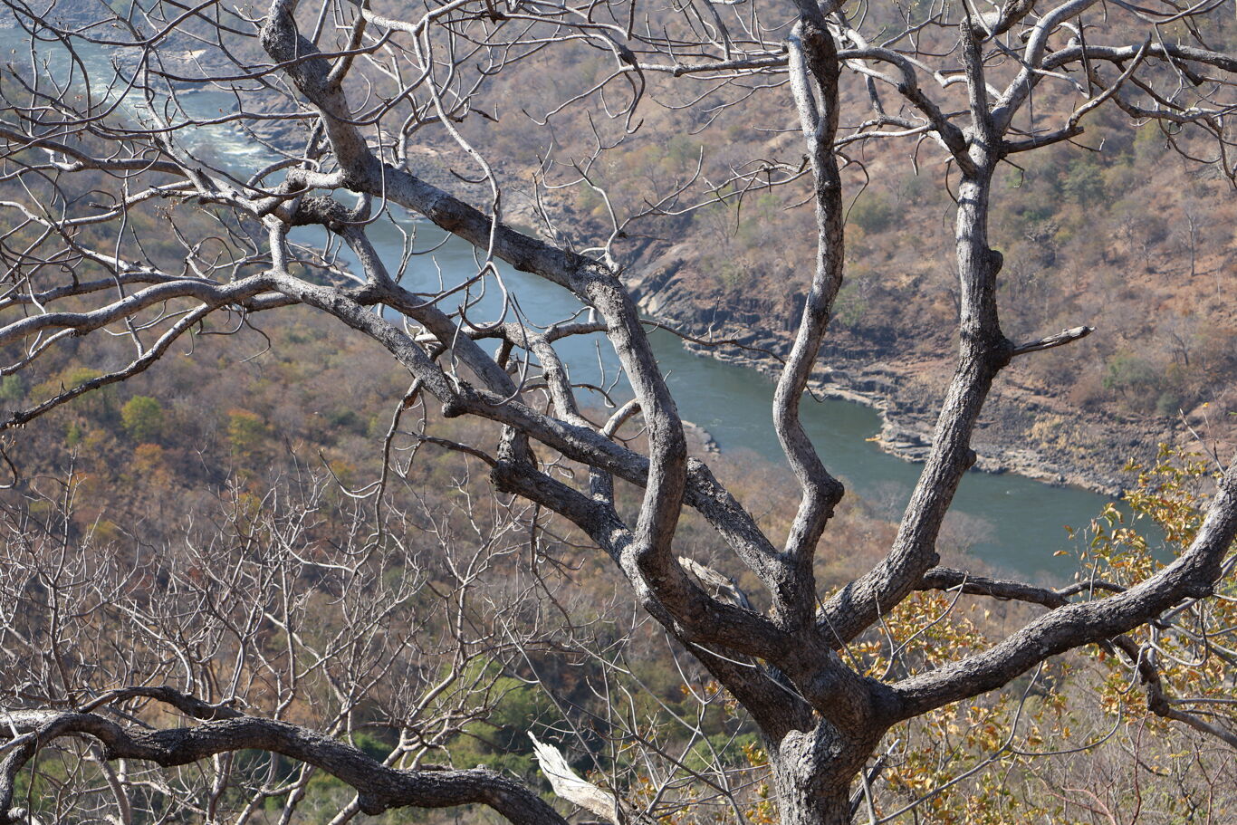 Image of Livingstone
Lower Zambezi River