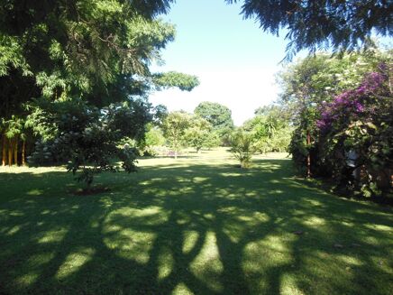 Picture of House for sale.