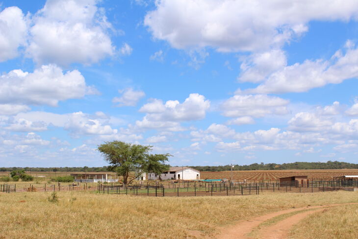 Picture of Kalangwa Estates, Chisamba