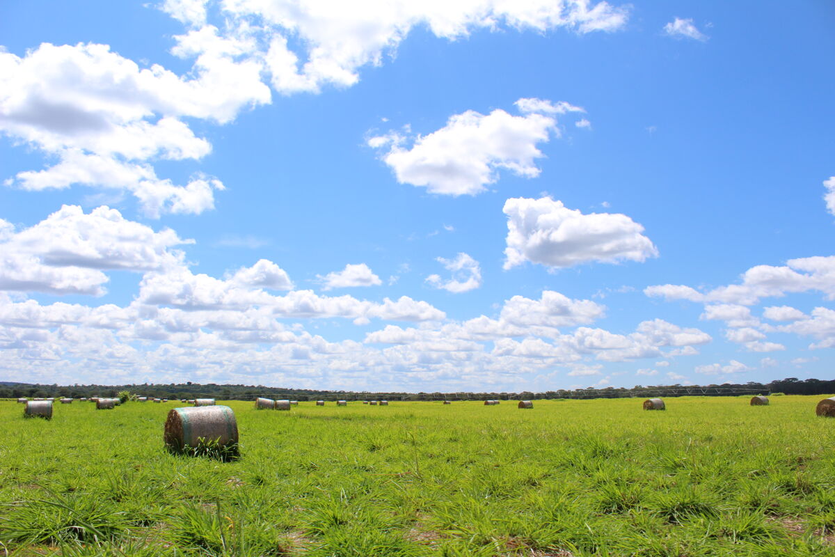 Agricultural Land for sale in Kalangwa Estates, Chisamba ZM913