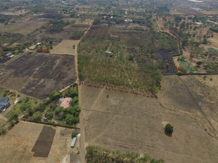 Picture of Land for sale.