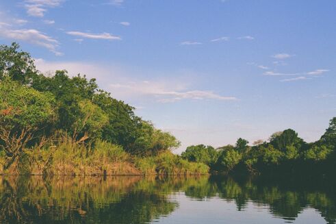 Picture of Agricultural Land for sale.