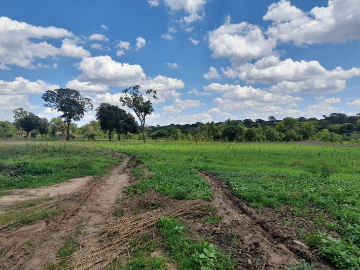 Farms and Estates in Zambia | Knight Frank Zambia