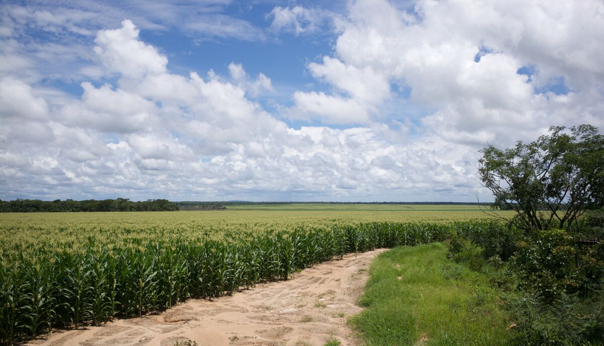 Agricultural for sale in Mpongwe, Zambia ZM986 Knight Frank