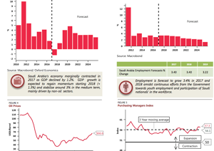 Saudi Arabia Capital Market Key IndicatorsSaudi Arabia Capital Market Key Indicators - January 2018