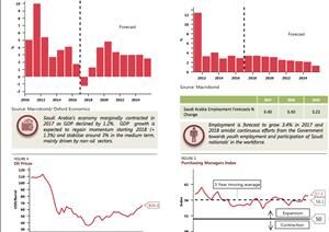 Saudi Arabia Capital Market Key IndicatorsSaudi Arabia Capital Market Key Indicators - January 2018