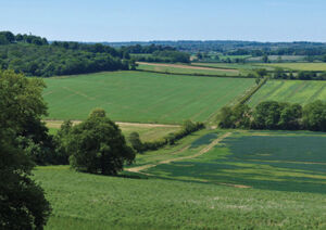 English Farmland IndexEnglish Farmland Index - Q4 2020