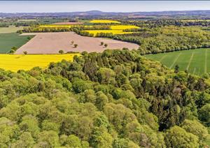 English Farmland IndexEnglish Farmland Index - Q4 2018