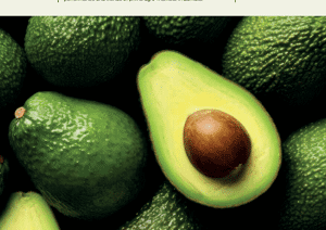 Zambia Agri Market UpdateZambia Agri Market Update - 2024 / 2025