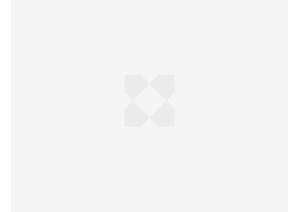 Science and Innovation InsightScience and Innovation Insight - Q4 2023