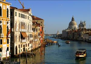 Venice Insight ReportVenice Insight Report - 2012